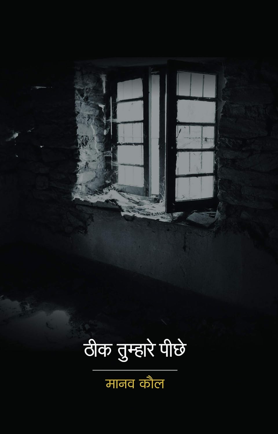Theek Tumhare Peechhe - Hindi Edition | by Manav Kaul