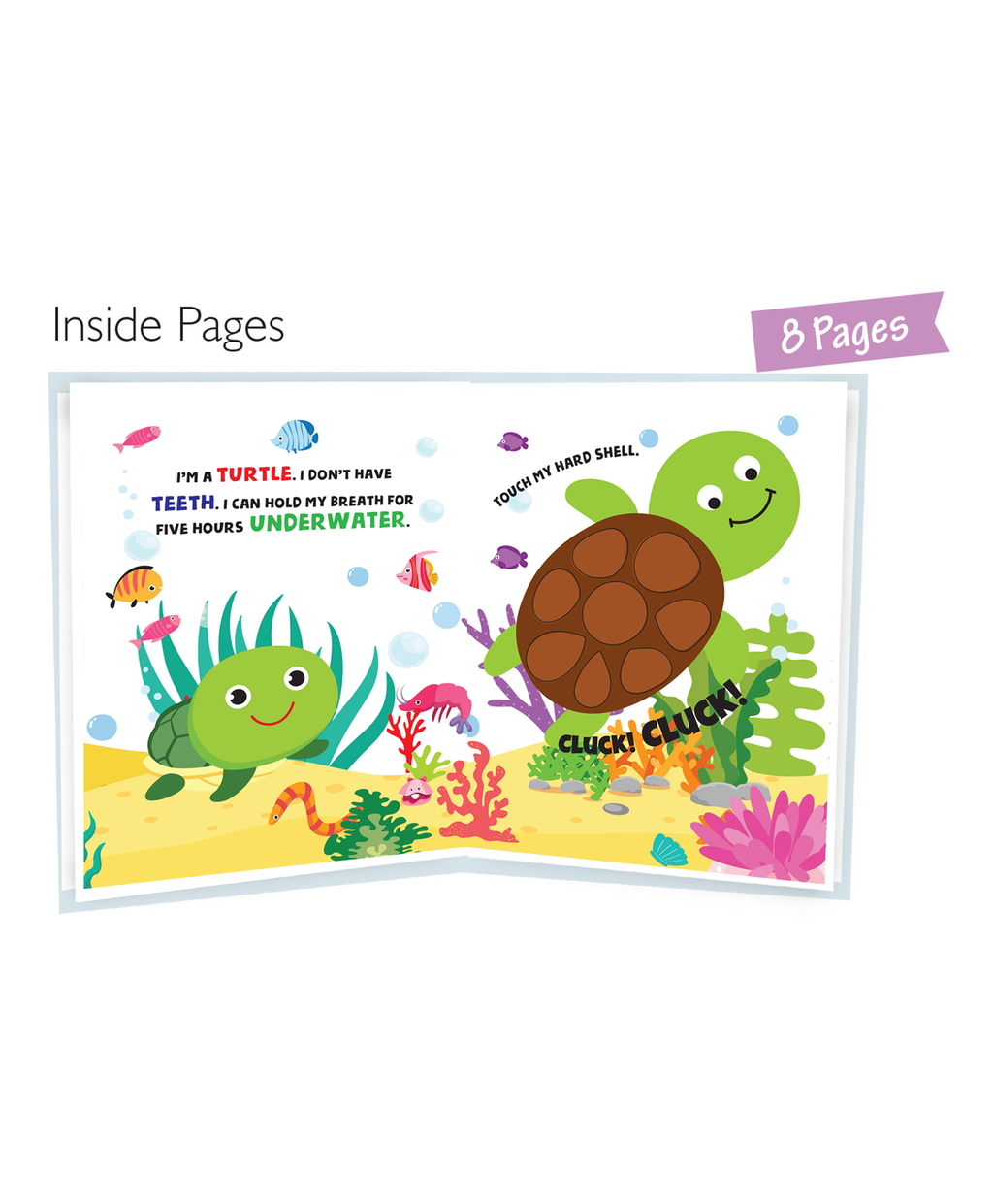 Hello Friend Books Touch and Feel Board Book: Sea Animals- Interactive Touch & Feel Book for Kids