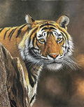 HAND MADE PAINTING - TIGER 1